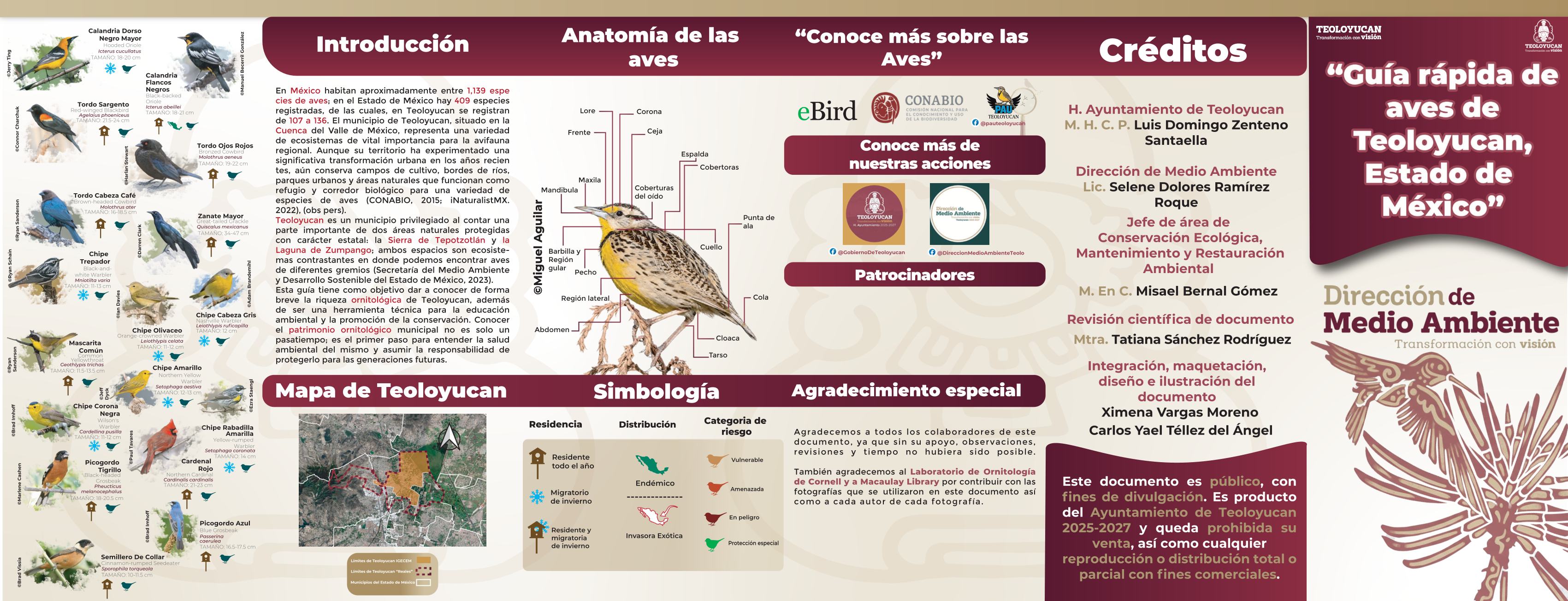 Guía de aves